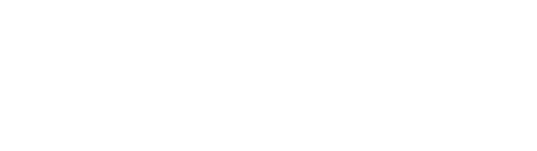 Bisnode Certificate - Bisnode AAA quallified