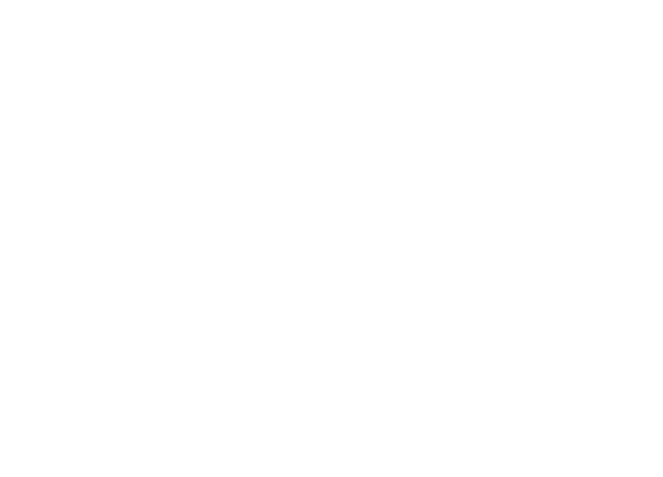 Auchan Lengyelország