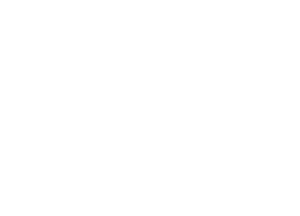 GE Lightning