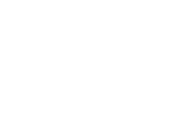 Goodwill
