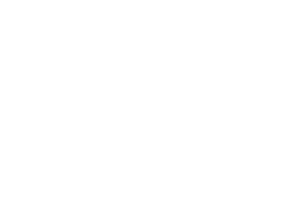 Hikoki