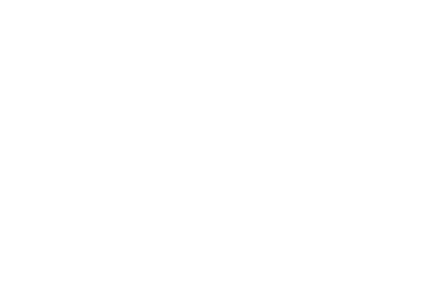 Hotex