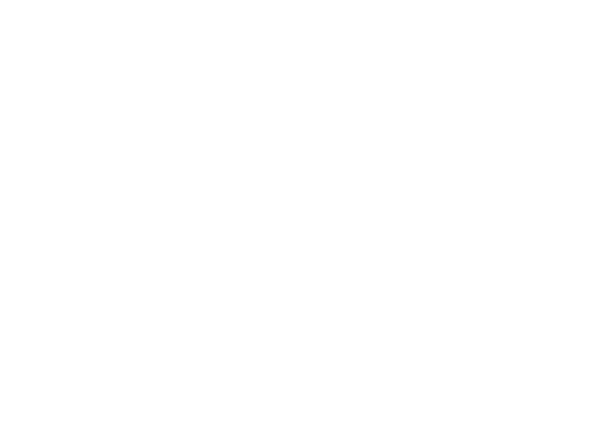 Mountex