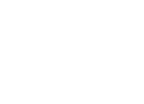 Optimit Hungária Kft.