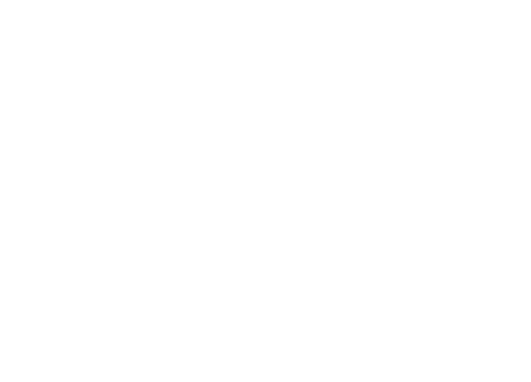 Polmetál Pruszynski Kft.