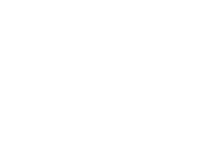 The Noisefilter