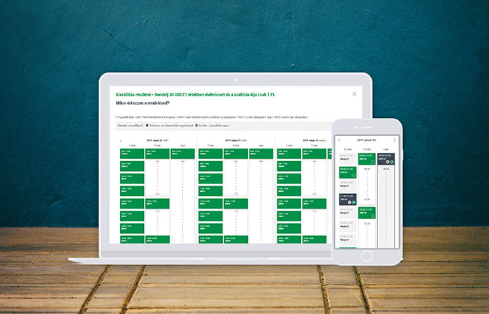 Logisztikai kapacitás optimalizálása az Auchannál
