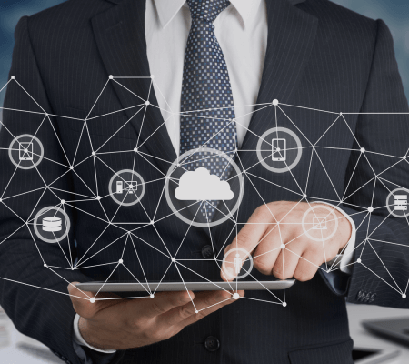 The support and maintenance services of LogiNet