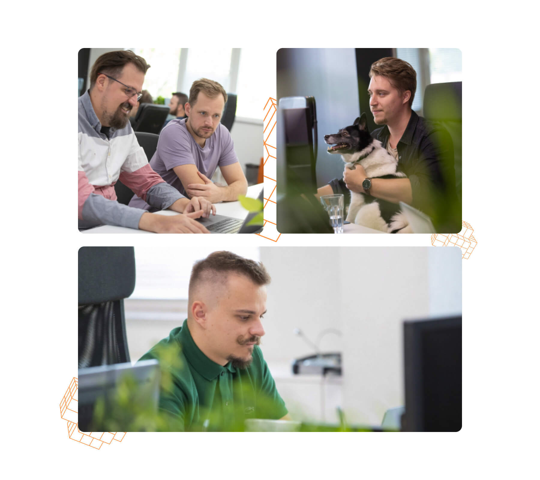 A LogiNet portál fejlesztő csapata