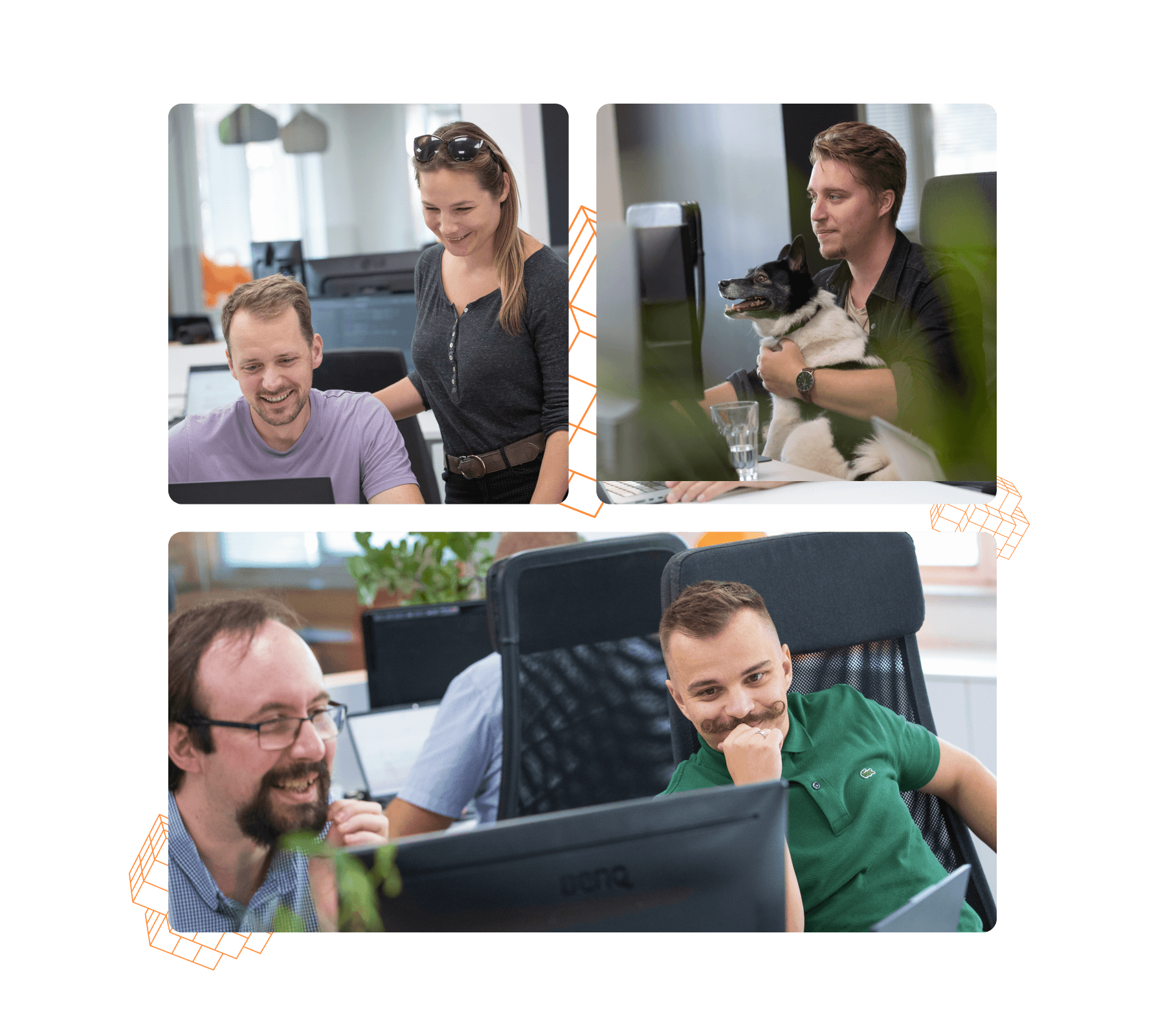 Loginet mobile dev team