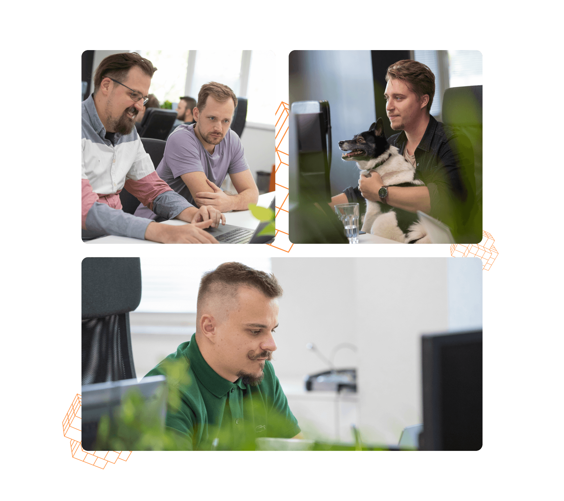 LogiNet csapat